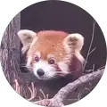 Susan Rudkin Avatar