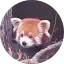 Soob Avatar
